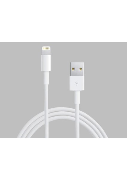 iPhone 6/6s/6 Plus Kulaklık + iPhone 8 ve 8 Plus Data Kablosu - 2li Set F3W6V4 fırsatları