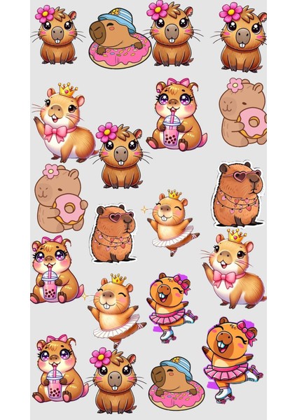 Capybara Telefon Laptop Notebook Tablet Defter Matara Stiker Etiket ST7086