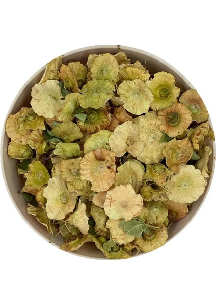 Karaçalı Dikeni 50 gr