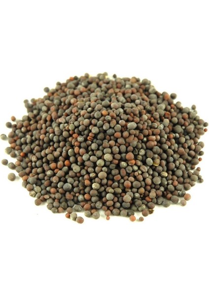 HARDALTOHUMUSARI50GR