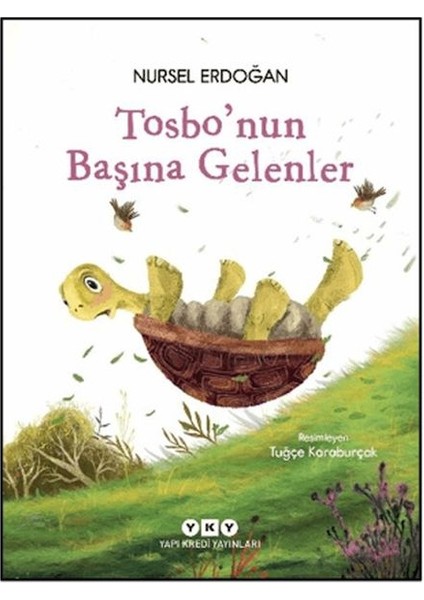 Tosbo'nun Başına Gelenler