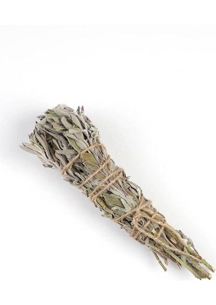 ADAÇAYIDEMETTÜTSÜLÜK1AD