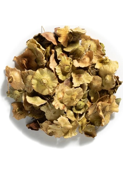 Organik Ürünler Karaçalı Dikeni Çayı 250GR