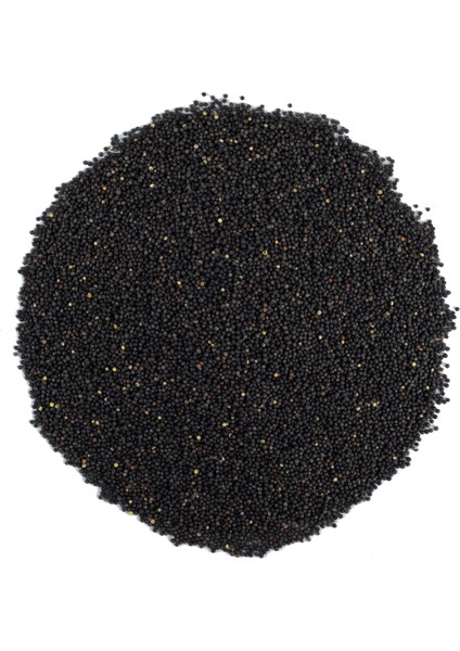 SIYAHHARDALTOHUMU(BRASSICANIGRA)50GR