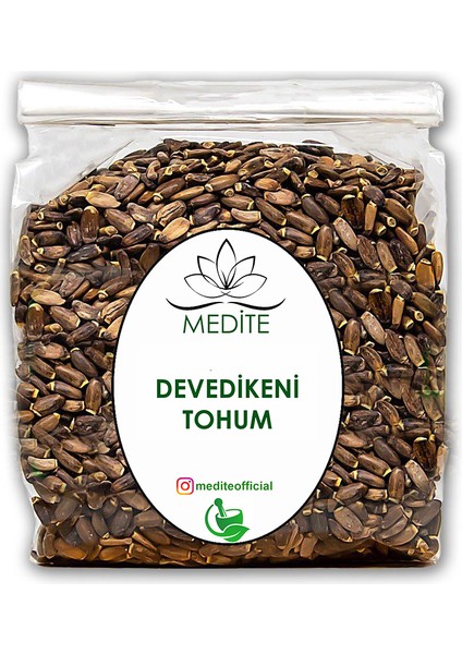 Tıbbi Devedikeni Tohumu Yeni Mahsül 1kg