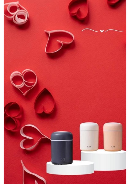 Bfs Sevgiliye Hediye LED Işıklı Hava Nemlendirici USB Şarjlı Sevgiliye Özel modelleri