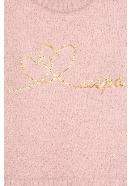 Kız Çocuk Pudra Kazak /triko 50315771-VR042 fırsatları