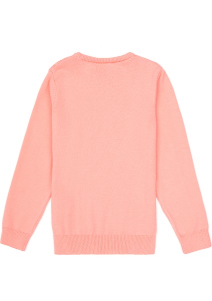 Kız Çocuk Kazak /triko 50313060-VR105 fiyatları