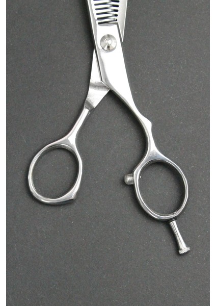 profesyonel Kullanım- Kuaför Çift Efile/ara Makası 6." (Inç) 81 No fırsatları