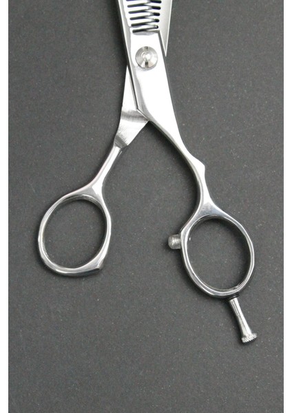 profesyonel Kullanım- Kuaför Çift Efile/ara Makası 6." (Inç) 81 No fırsatları