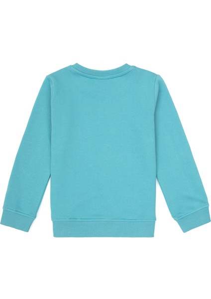 Erkek Çocuk Koyu Mint Sweatshirt 50316519-VR152 fiyatları