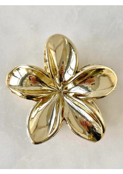 2'li Mandal Toka, Gold ve Gümüş Renk Lotus Toka fiyatları