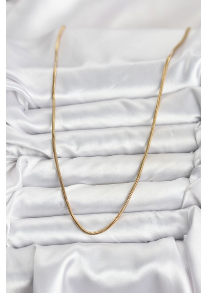 Erb 316L Çelik Zincir Gold Renk 60 cm Yılan Zincir Kadın Kolye fiyatları