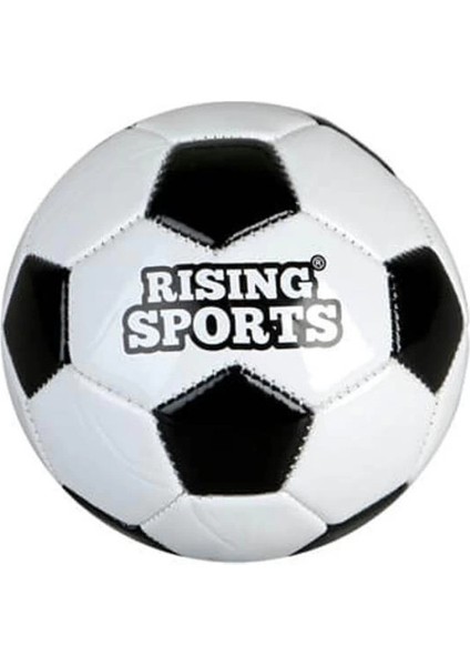 Bfs Nessiworld 0333 Futbol Topu Size 2 modelleri