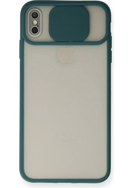 Ieg iPhone x Kılıf Palm Buzlu Kamera Sürgülü Silikon - Yeşil