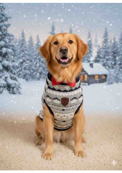 Kedi &köpek Kışlık Yün Örgü Kazak