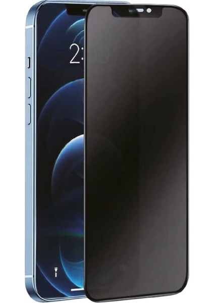 Samsung Galaxy S24 3D Antistatik Hayalet Cam Ekran Koruyucu