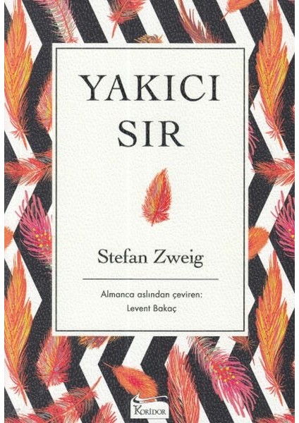 Yakıcı Sır - Ciltsiz