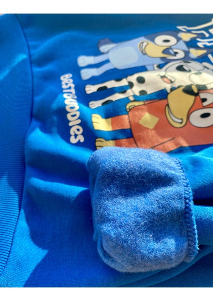 Bluey Baskılı Beli Lastikli Pamuklu Kumaş Şardonlu Mavi Renk Erkek Çocuk Alt Üst Takım modelleri
