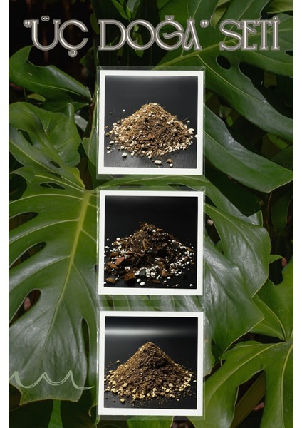 Üç Doğa Seti / En Sevilen Üç Bitki Grubuna Uygun Karışım