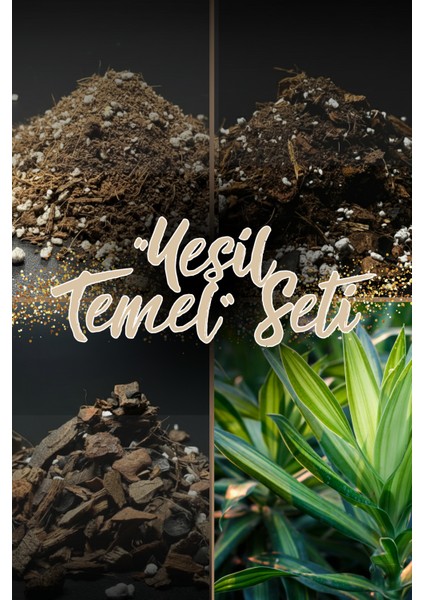 Yeşil Temel Seti / Yeni Başlayanlar ve Saksı Değişimi Için Ideal