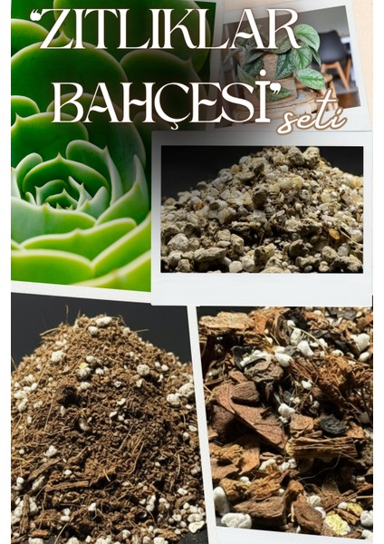 Zıtlıklar Bahçesi Seti / Çölden Yağmur Ormanına