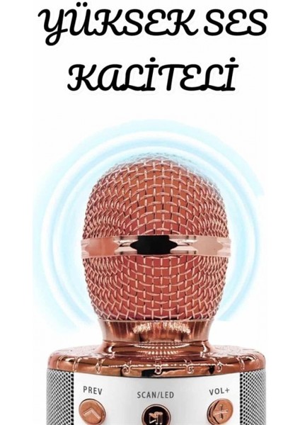 Ieg Şarjlı ve Uzun Pil Ömürlü Karaoke Mikrofon USB Bellek Destekli, Profesyonel Ses modelleri