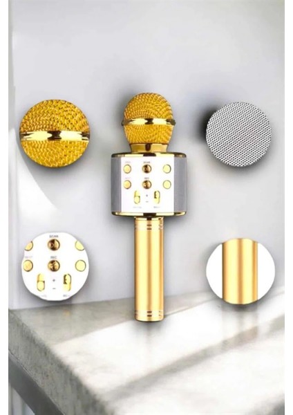 Ieg Taşınabilir Bluetooth Karaoke Mikrofon: Hafıza Kart Girişli, Etkileyici Performans