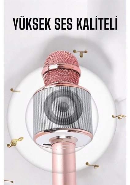 Ieg Taşınabilir Bluetooth Karaoke Mikrofon: Hafıza Kart Girişli, Etkileyici Performans fırsatları