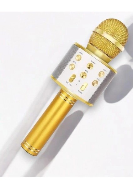 İEG KAREOKE MIKROFON fırsatları