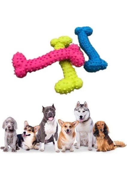 Tiny Kemik Oyuncağı Tırtıklı Yüzey Küçük Kemik Plastik Köpek Oyuncağı