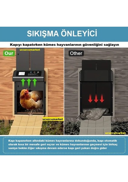 Kümes Kapısı Zaman Ayarlı Digital Ekran (Sıkışma Önleyici) modelleri