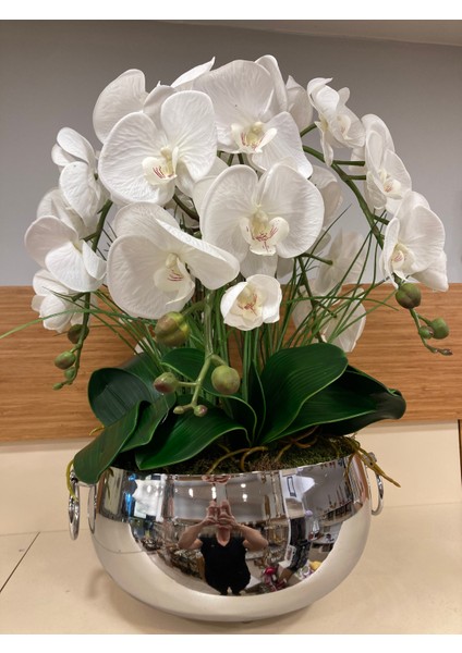 Yapay Büyükboy Islak Orkide Pirinç Kulplu Model Gümüş Saksı