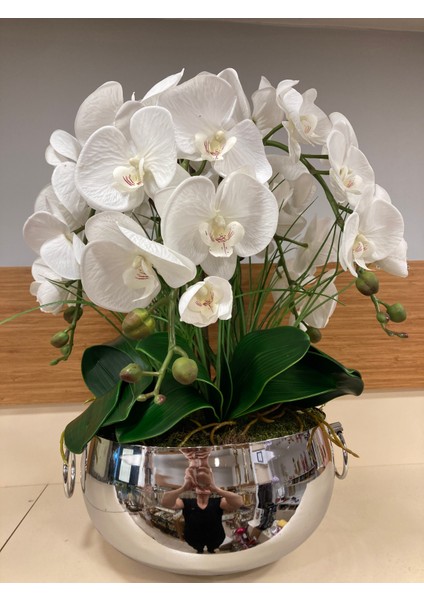 Yapay Büyükboy Islak Orkide Pirinç Kulplu Model Gümüş Saksı fiyatları