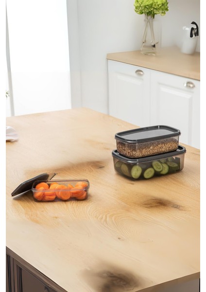 Oval 3 Parça Hava Almaz Sızdırmaz Saklama Kabı Seti Füme (300/500/800 Ml)