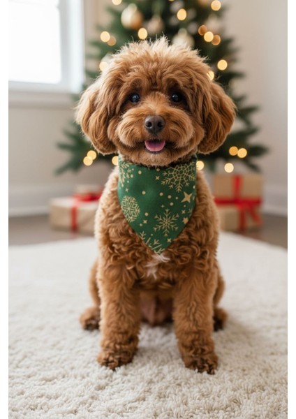 Yılbaşı Konsept Köpek Boyun Tasması -Yeşil Çıkarılabilir Fular