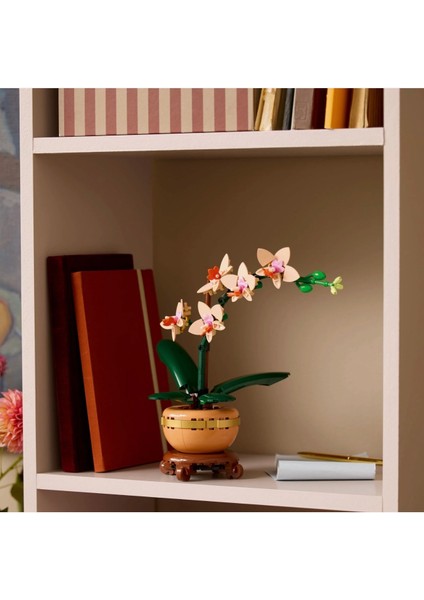 ® Botanicals Mini Orkide 10343 - Yetişkinler Için Model Yapım Seti (274 Parça) modelleri