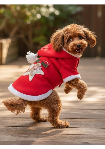 Yılbaşı Köpek Kıyafeti Yıldız Desenli Kırmızı Polar | Kapüşonlu Noel Köpek Kostümü | Küçük Irklar Için
