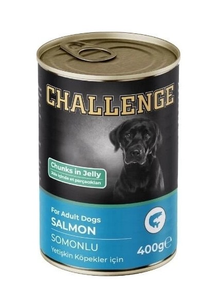 Somonlu Yetişkin Konserve Köpek Maması 400 gr