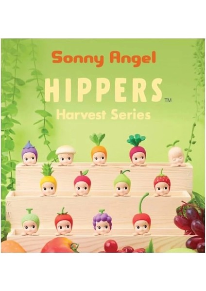 Hippers Fruit