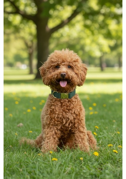 Yılbaşı Konsept Köpek Boyun Tasması -Kırmızı Çıkarılabilir Fular modelleri