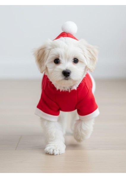 Yılbaşı Köpek Kıyafeti Snow Ball Kırmızı Polar | Kapüşonlu Noel Köpek Kostümü | Küçük Irklar Için fırsatları