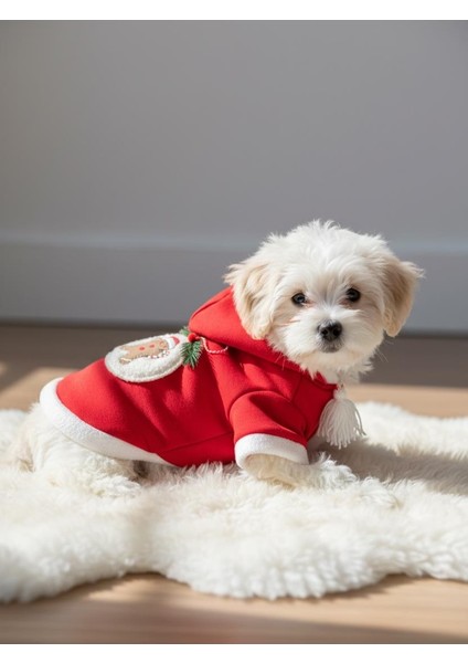 Yılbaşı Köpek Kıyafeti Snow Ball Kırmızı Polar | Kapüşonlu Noel Köpek Kostümü | Küçük Irklar Için indirimleri