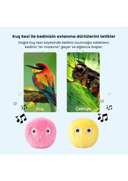 Ponpon - Kedi Otlu Sesli Kedi Oyuncağı fiyatları