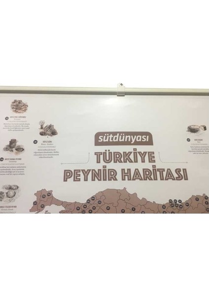 Türkiye Peynir Haritası Posteri modelleri