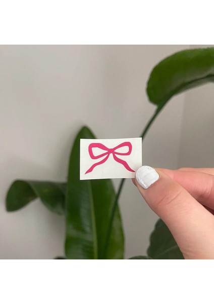 Ayna Sticker, Araba Sticker