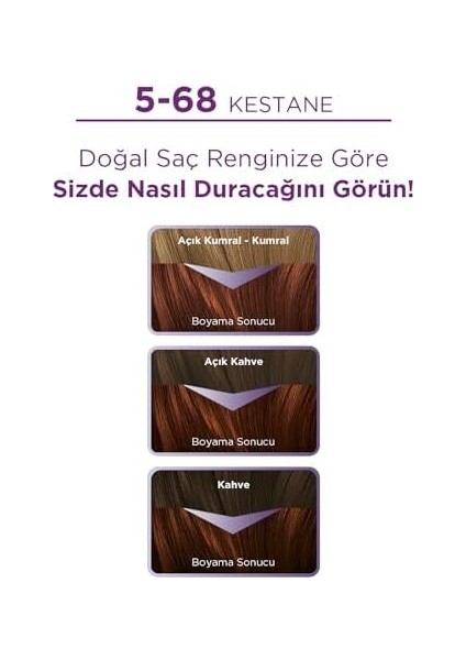 Palette Yoğun Göz Alıcı Renkler Saç Boyası 5-68 Kestane Saç Boyası