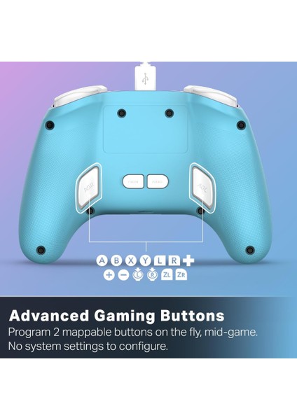 Nintendo Switch 2 Enhanced Wired Controller – Mushroom Kingdom modelleri