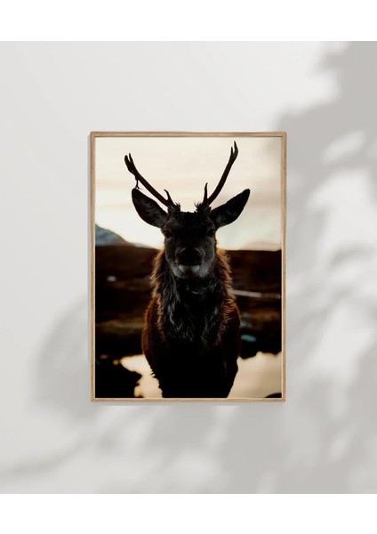 Göl Kenarında Geyik Poster indirimleri