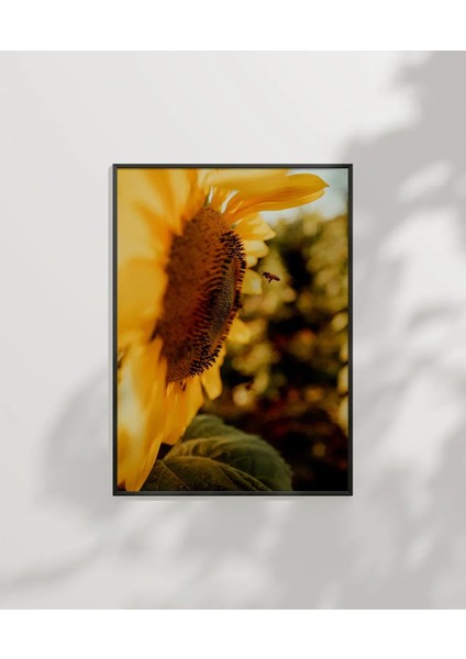 Günebakan Çiçeği ve Arı Poster